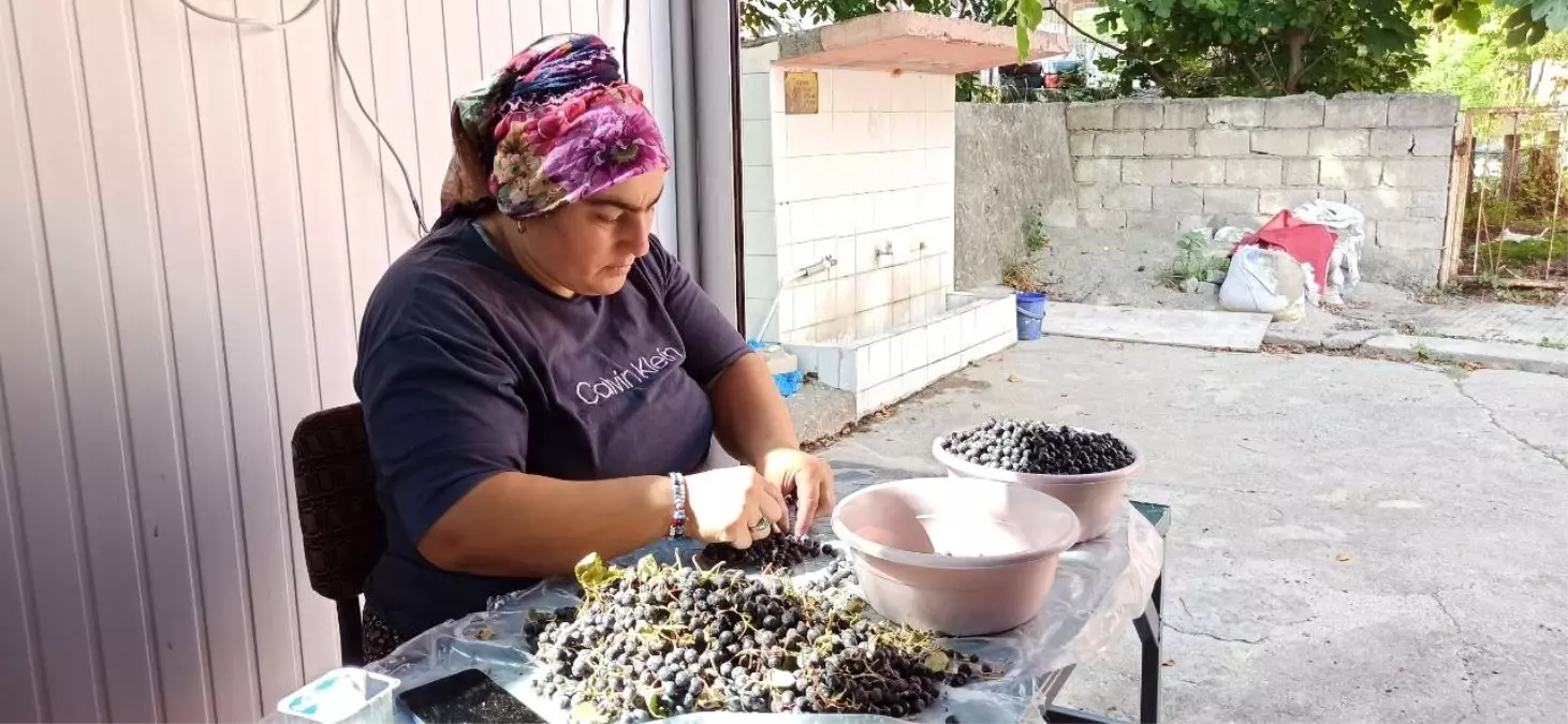 aronya meyvesi suyuna yogun ilgi s6badj8Y