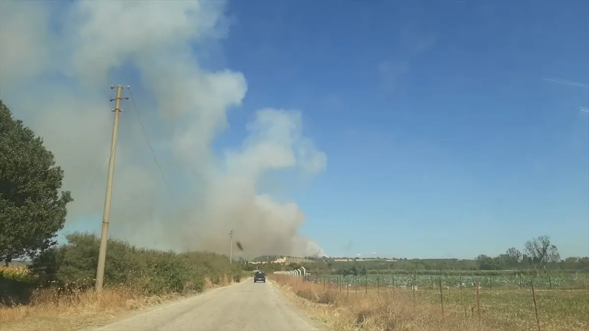 ezinede zeytinlikte yangin Q8ffKibs