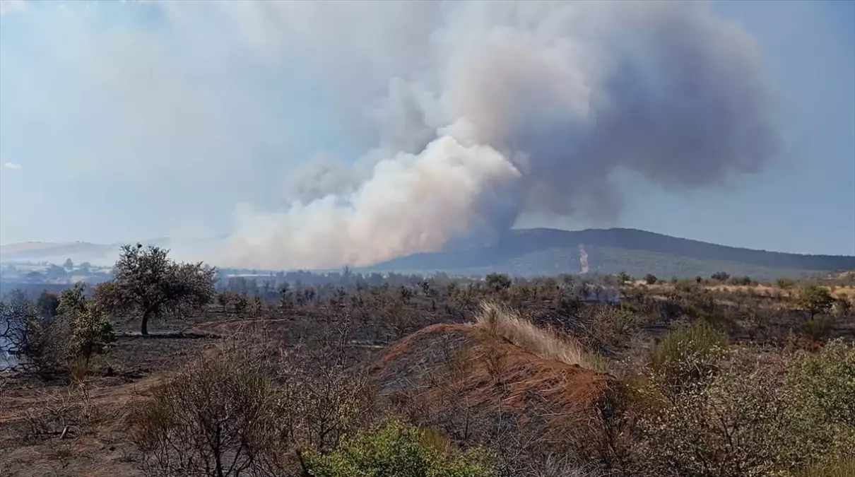 geliboluda tarim arazisinde yangin d9kdAMIb